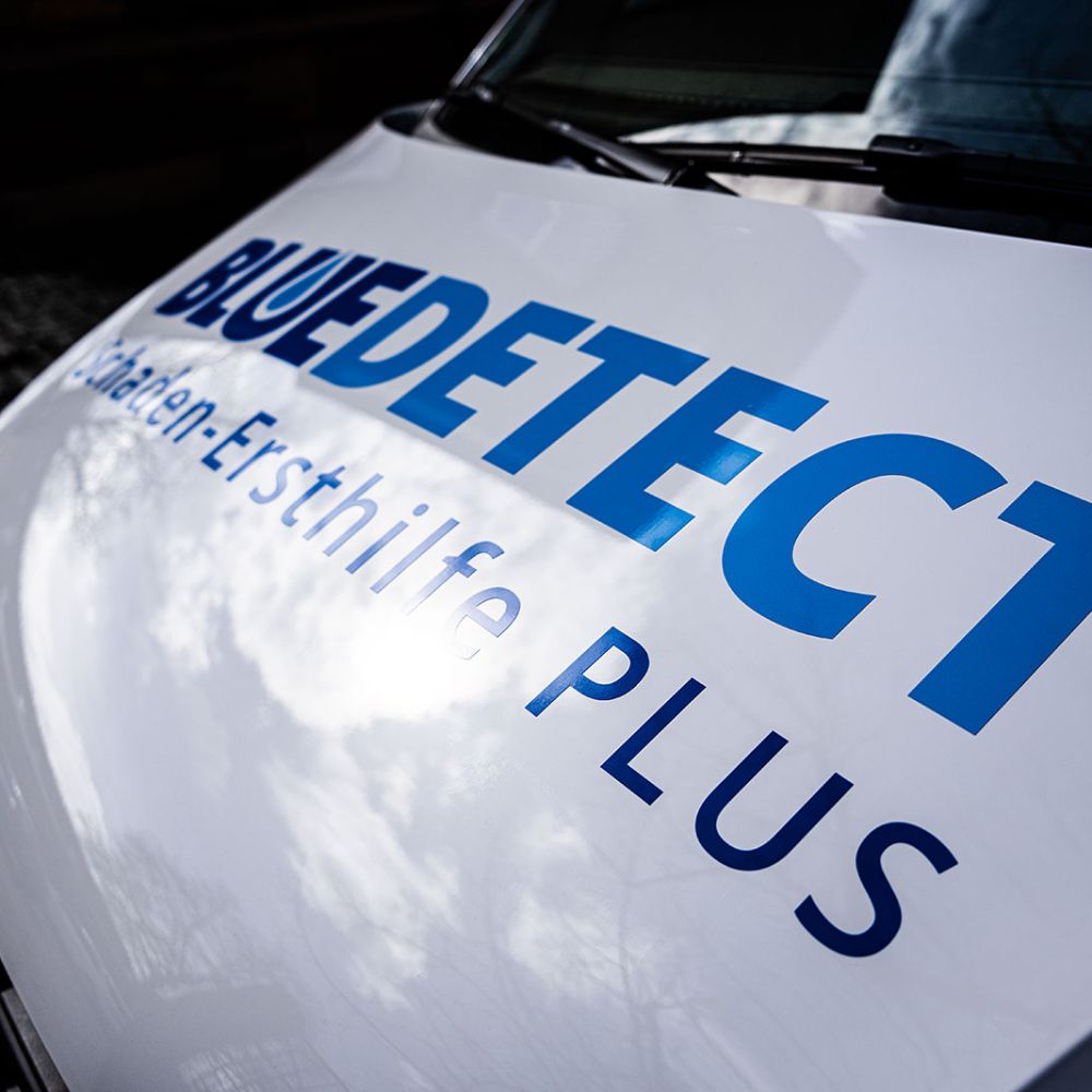 Franchisepartner bei Blue Detect werden | Österreich und Deutschland | Karlsruhe